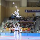 태성태권도체육관 이미지