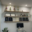 펄즈데뷰티