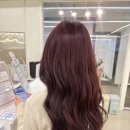 부천시청역미용실 살롱드오벨로 수아부원장 레드바이올렛염색