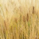 상백1리 마을회관 이미지