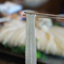 독도참가자미회 이미지