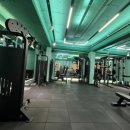 테라피티 이미지