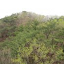 마석2리 이미지