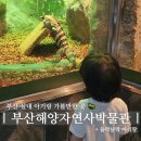 대신공원 민속예술관 옆 | 부산 실내 아기랑 동래 해양자연사박물관과 들락날락 아리랑 체험 찐후기