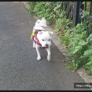 청계종합동물병원 이미지