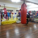 동부은성 복싱체육관 이미지