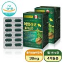 포유플러스