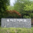 용마경로복지센터 | [서울_중랑자락길] 용마산 자락길 산책과 망우카페 엄마랑 데이트