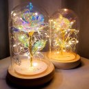 알레그리아 이미지