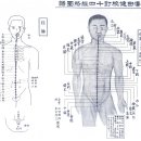 십사 임맥 유주 任脈流注及孔穴. 맥이란 이미지