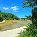 손양면보건지소 이미지