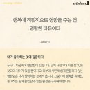 내가 좋아하는 것에 집중하자 이미지