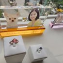 펫포레스트 반려동물장례식장 남양주점 네이버블로그