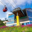 목포해상케이블카 북항승강장 | [전남/목포][목포여행] 목포해상케이블카 북항승강장 탑승 후기! 주차&amp;할인 꿀팁 (크리스탈 캐빈) 🚠