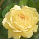 동대신역 이미지