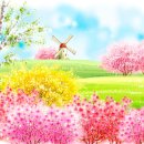 블라인드나라 - 성남시 분당구 벌말로50번길 42 | 블라인드나라