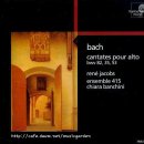 칸타타(나) 이미지