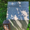 🌿어청도 탐방(2026.5.29~30) - 동이나물님(2) 이미지