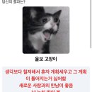 복싱브로스 신림점 | 2월 넷째 주 운동 일기🧘‍♀️