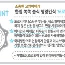 미니도로시 이미지