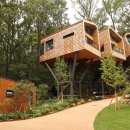 트리하우스 이미지