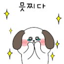 벨라루시애견미용학원 네이버블로그