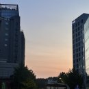 스타펫미팅 | 우린 마치 영원할 사랑을 하는 것 같아