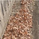 온맘의료기 이미지