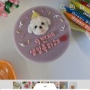 오마이샷츠 이미지