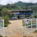 유성나무공인중개사사무소 이미지