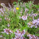 하늘꽃민박 이미지