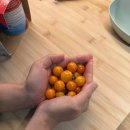 꼬마동네 어린이집 | [영국에서 쓰는 육아일기] 81편 - 10월 일상 - 밀린 일기 / 바쁘게 살기 / 예방접종 / 시력검사