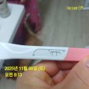 편작한의원 | ♣경주대추밭백한의원♣경주삼신할배♣경주대추밭...백한의원한약복용방법♣경주대추밭한약복용후기임신♣