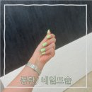 네일드슐