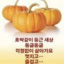 호박 같이 둥근 세상