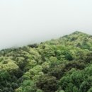 하동사우나 이미지