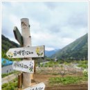 방태산마당바위민박 | [강원 인제 펜션] 방태산 등반 후 완벽한 힐링, 고요함 속 감성 가득했던 펜션 후기!