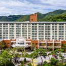 대건효도병원 이미지