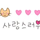 (특강)우쿨렐레(주말) 이미지