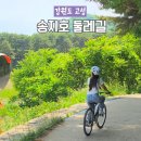 고성 송지호 둘레길 자전거 무료 대여소 강원도 여행 산책코스