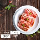 지금,돼지 이미지