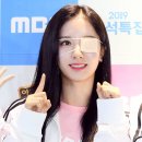 보나 이미지