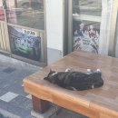 서산동 연희네 슈퍼 주변 이미지