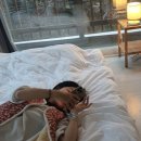 올가리조트 이미지