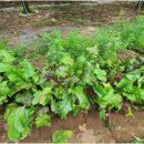 두은농장 이미지