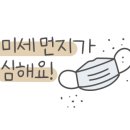 춘천꽃집향기나는뜰 이미지