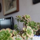 일월우체국 이미지