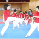 강진태권도체육관 이미지