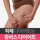 신동다이어트 울산에서 4주만에 바지 작아진 썰 이미지