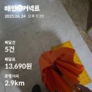 해봄 | 🛵뚜벅이로 배달알바 해봄 (배민&amp;쿠팡라이더 후기)